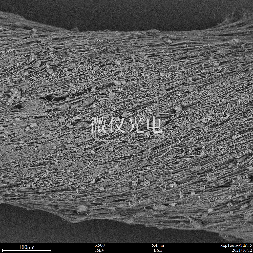 掃描電鏡應(yīng)用領(lǐng)域介紹和使用掃描電鏡時(shí)圖像質(zhì)量差改善的方法有哪些？