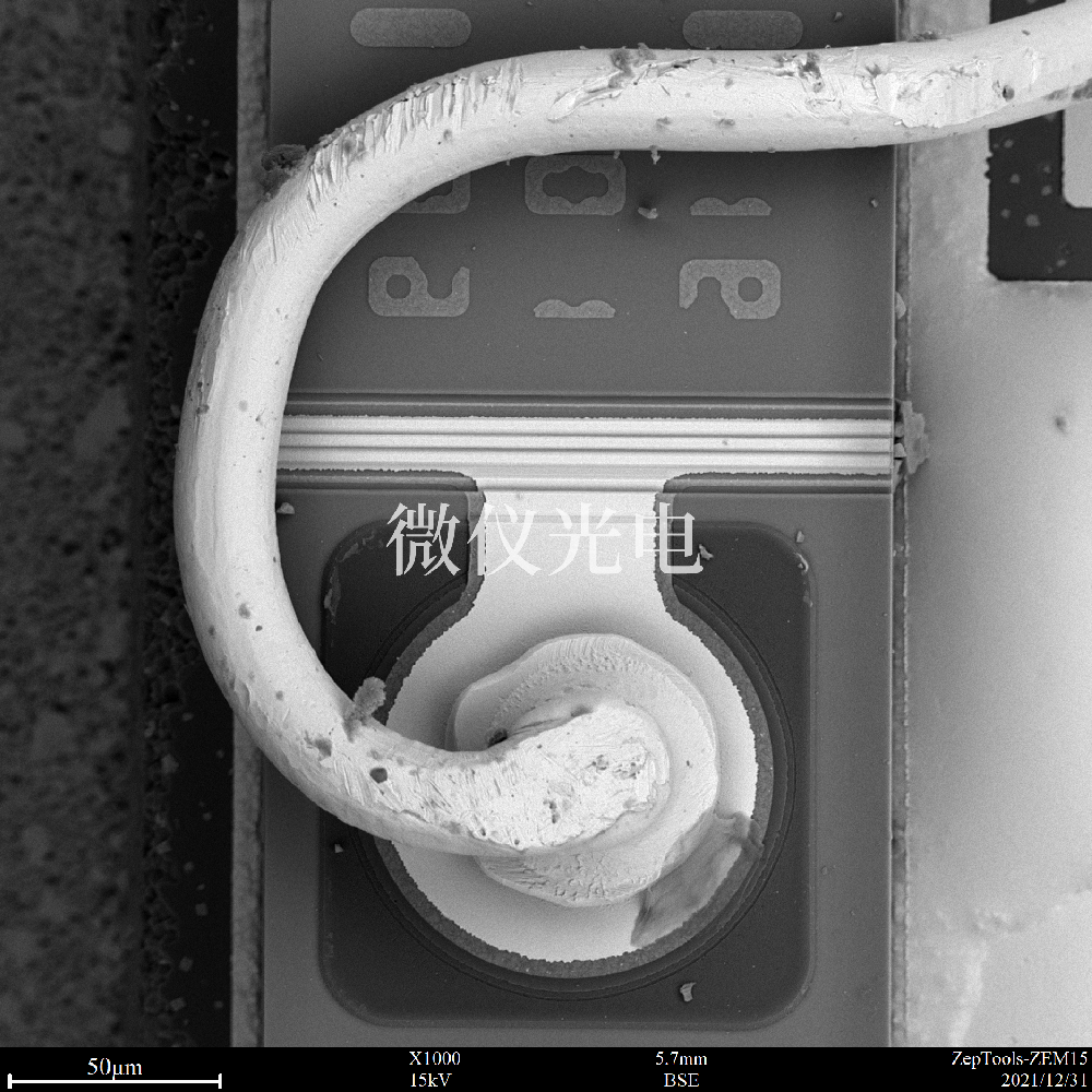 臺式掃描電鏡的應用范圍有多廣？看完下面文章的介紹你就知道了